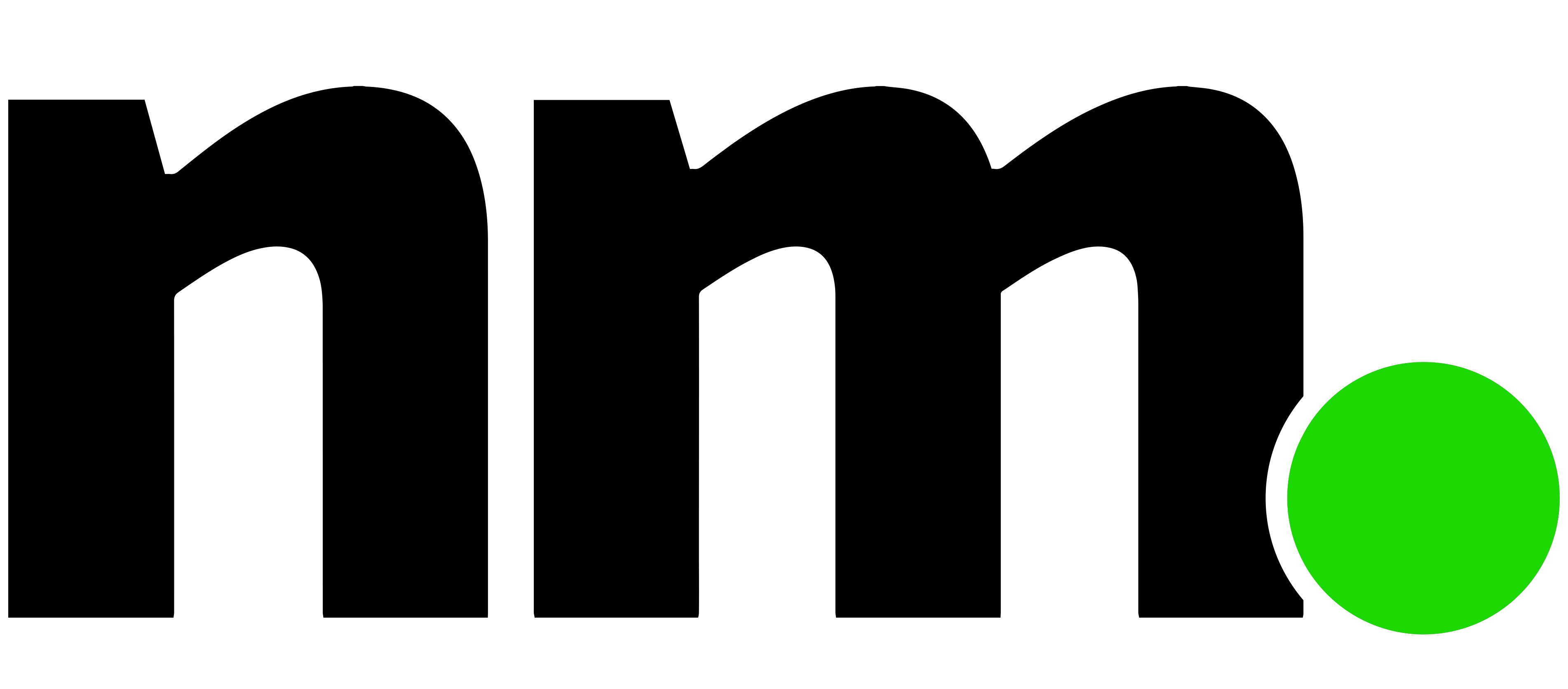 Niloy Majumder Logo